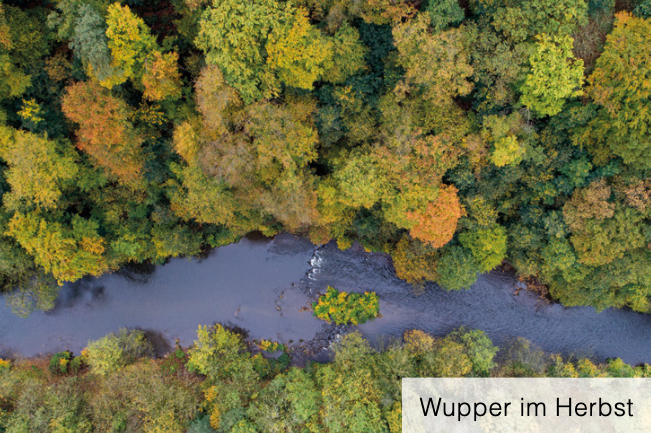 Wupper im Herbst